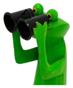 Frosch Mit Fernglas 125 Cm