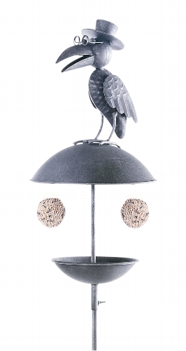 Futterplatz Rabe mit Hut