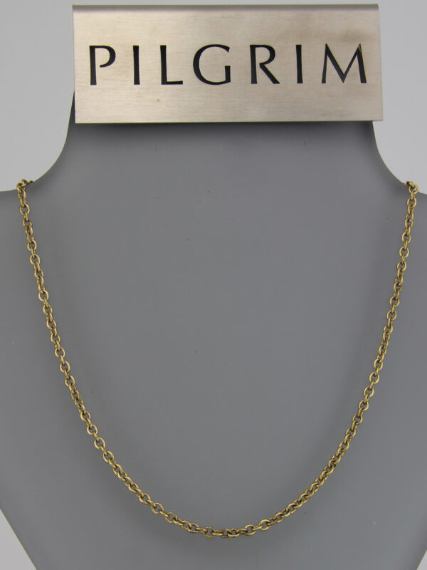 Pilgrim Basic Kette gold - Verlängerungskettchen