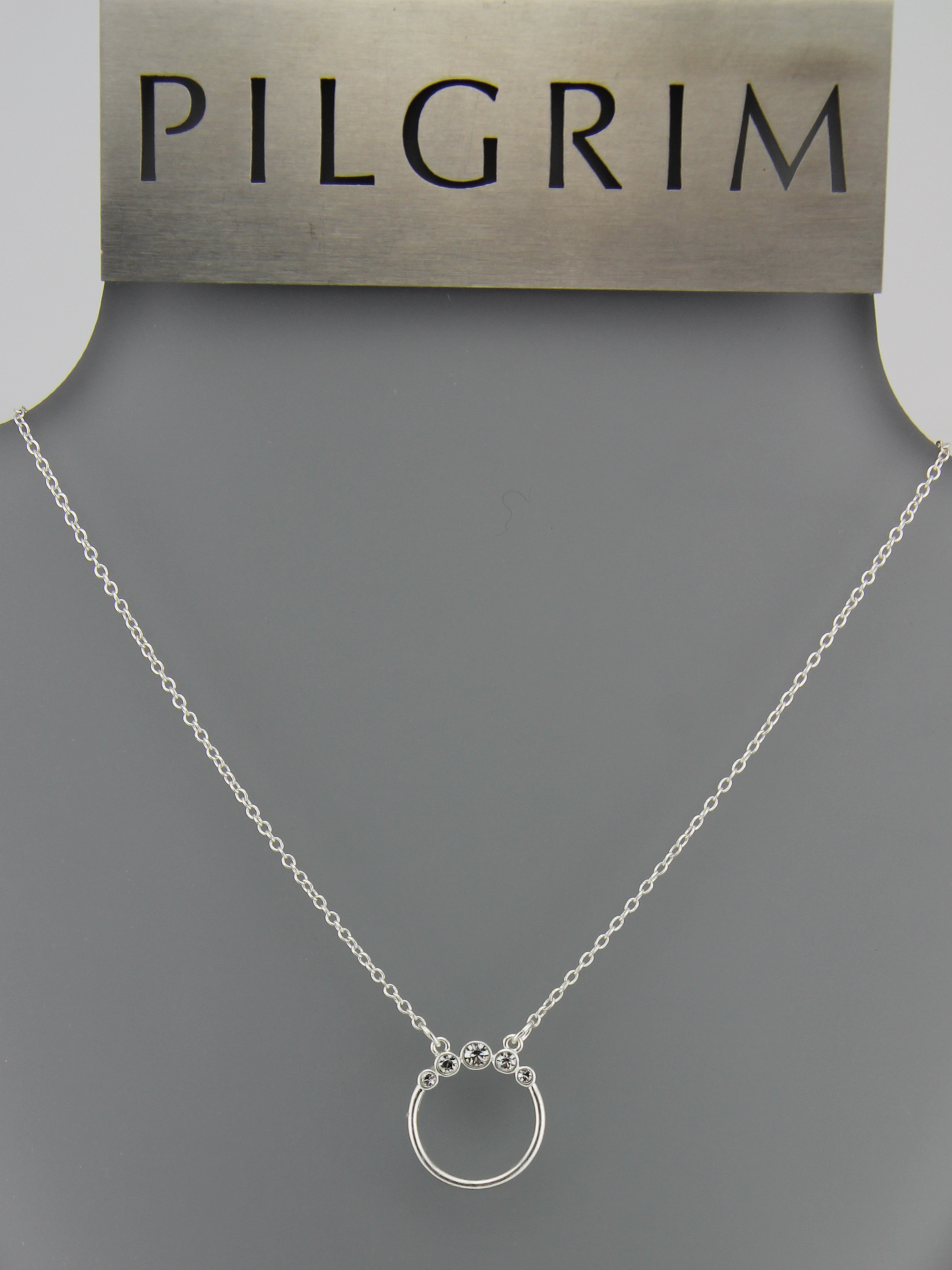 33+ Pilgrim Kette Silber PNG