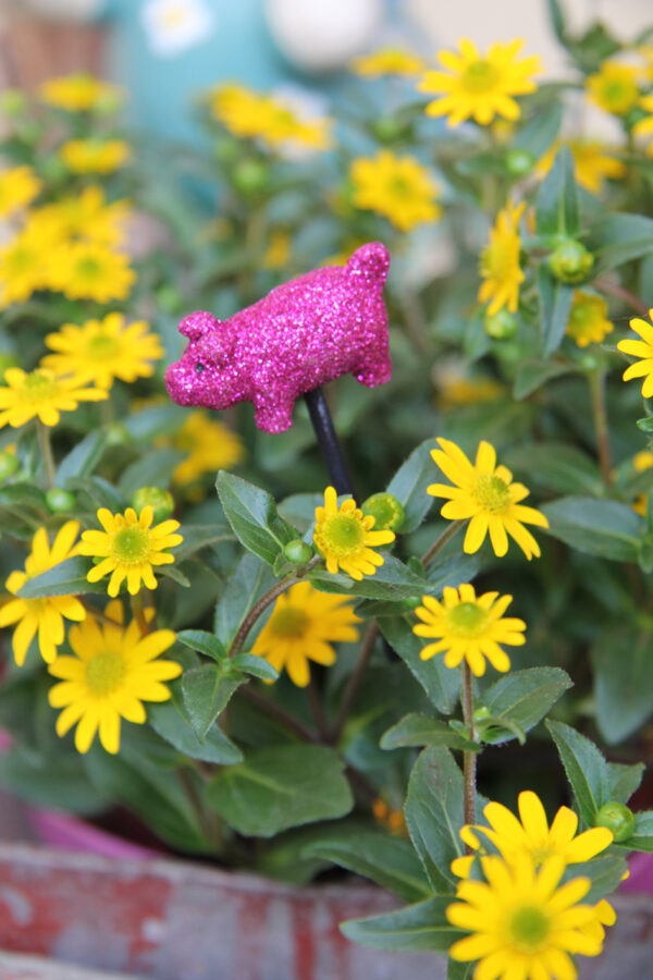 Mila xxs Figur - Fliegenpilz /+ Schwein - Figuren auf Stab für Blumensträuße, Gestecke, Blumentöpfe – Bild 2