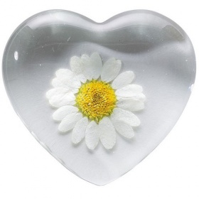 Margarite Glasherz - Flower Power Herz mit echter Blüte - Handschmeichler RÄDER Design