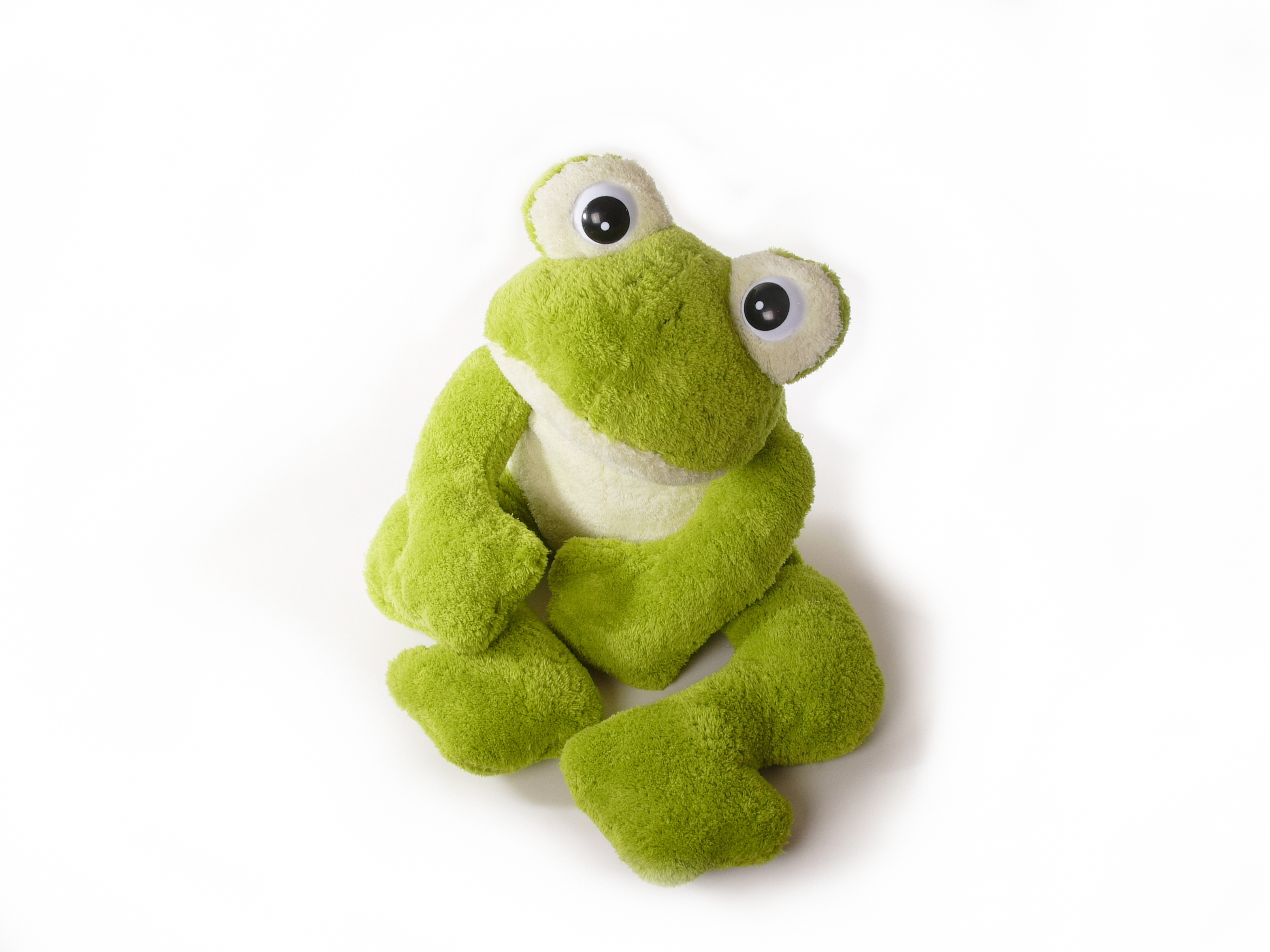 frosch frosch