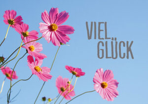 Viel Glück Karte - Doppelkärtchen Glück