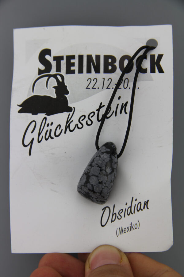 Edelstein Steinbock Sternzeichen Kette - Obsidian / Moosachat Edelstein Sternzeichen 22.12.-20.01. – Bild 3