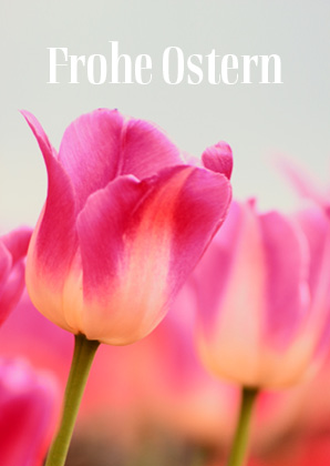 Osterkarte Doppelkarte - Frohe Ostern
