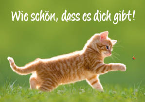 Zuspruch Karte Katzenmotiv - Klappkarte Schön, dass es dich gibt
