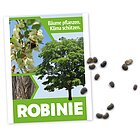 Samenkarte - Baumkarte mit Robiniensamen - Robine Baum des Jahres 2020 - "Bäume für das Leben"