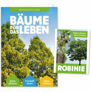 Samenkarte - Baumkarte mit Robiniensamen - Robine Baum des Jahres 2020 - "Bäume für das Leben"