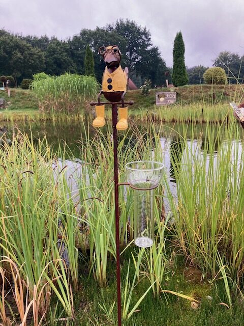 Rückansicht des Regenmesser-Gartensteckers Rabe Lothar im gelben Ostfriesennerz, wunderschön platziert inmitten von Schilf und Gräsern am malerischen Teichufer.