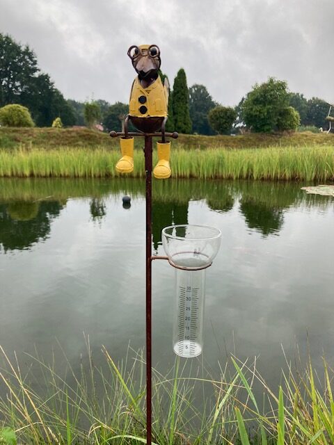Vorderansicht des Regenmesser-Gartensteckers Rabe Lothar im gelben Regenmantel und mit Gummistiefeln, dekorativ platziert am Teich mit Blick auf die Skala des Echtglases.