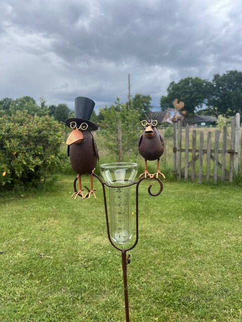 Regenmesser Raben Vater und Sohn - Niederschlagsmesser Vogelpaar aus Metall - Gartenstecker – Bild 3