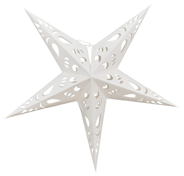 blaufarn zimmerpflanze Blaufarn 'Blue Star' – ruuds main image 1
