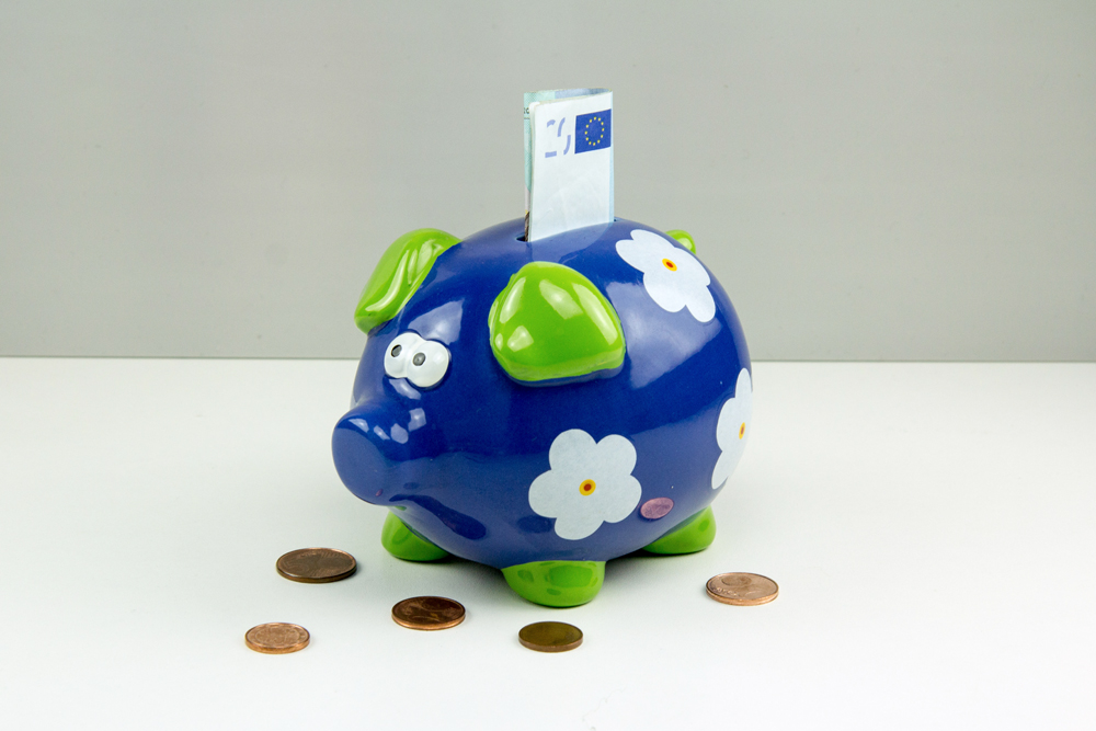 Sparschwein mit Blumen