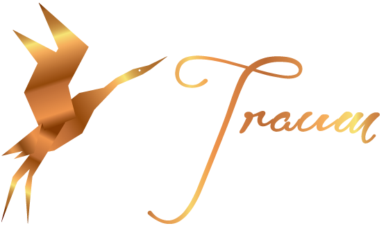 Traumflug Online Shop – Das Geschenkeparadies