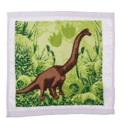 Magisches Handtuch Dino - Zauberhandtuch Dinosaurier Gästehandtuch Baumwolle 30x30 cm